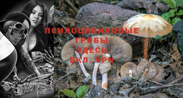 гидра Балабаново