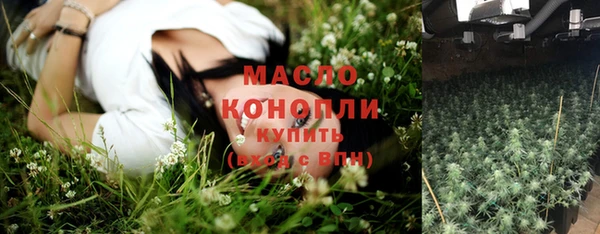 индика Белокуриха