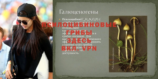 мескалин Баксан